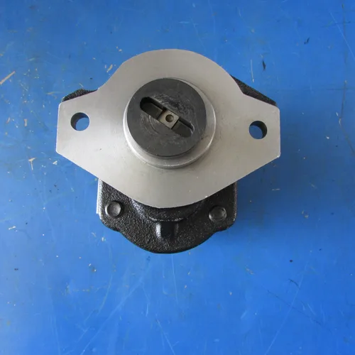 XCMG Road Roller Gear Pump 803086849 CBFB-F25ALY-L | Hydraulic Pump XS183/XS263J