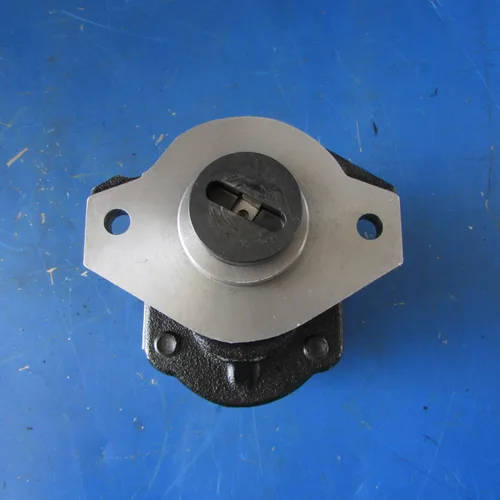 XCMG Road Roller Gear Pump 803086849 CBFB-F25ALY-L | Hydraulic Pump XS183/XS263J