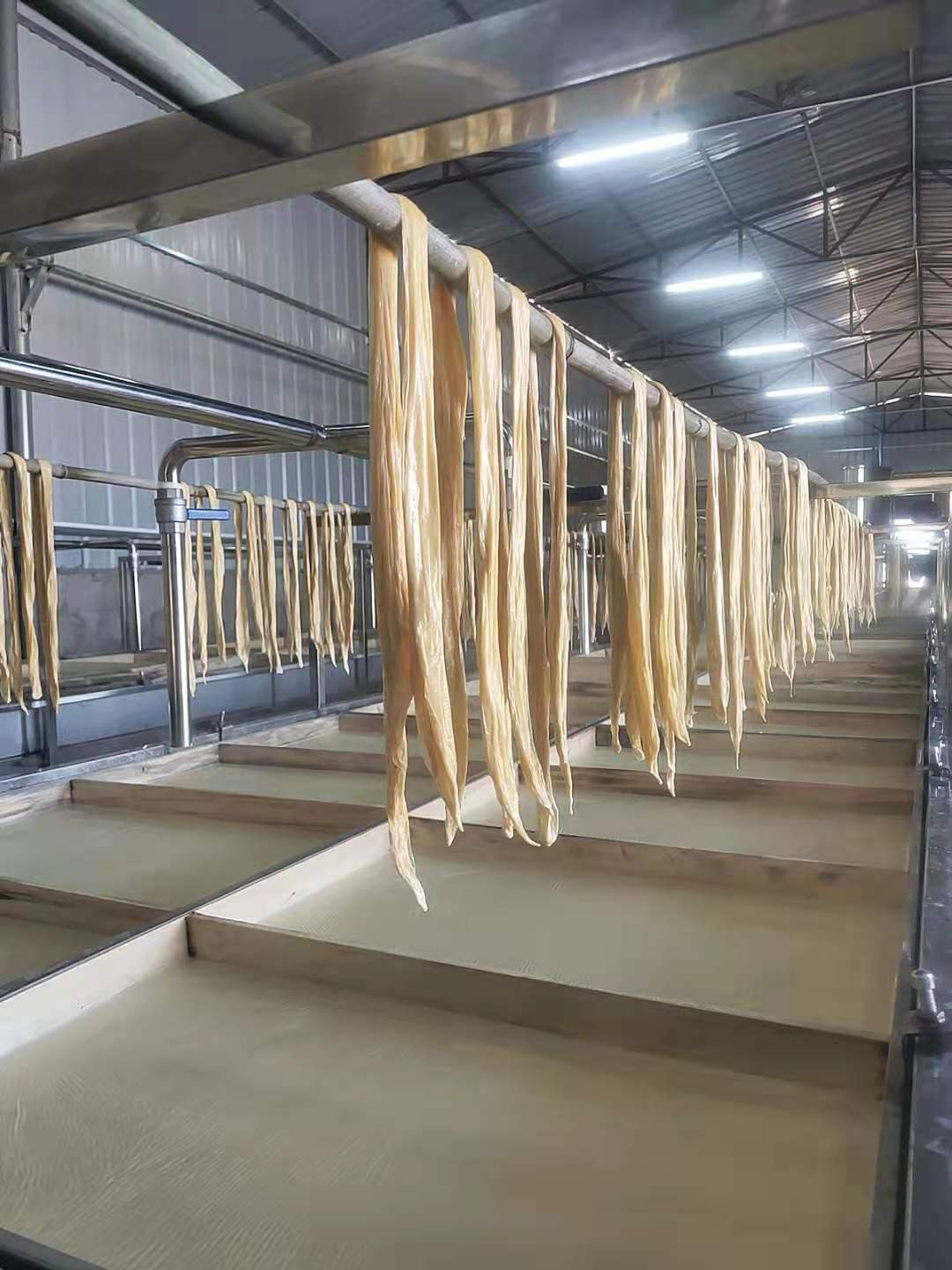 2m×4m Manual Yuba Production Line, Commercial Stainless Steel Yuba Forming Machine, Complete Yuba Processing Equipment