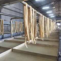 2m×4m Manual Yuba Production Line, Commercial Stainless Steel Yuba Forming Machine, Complete Yuba Processing Equipment