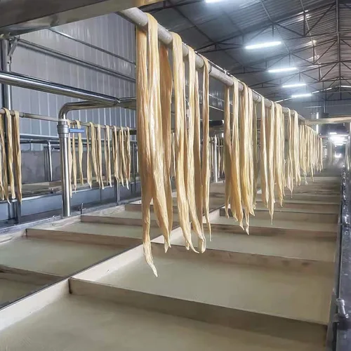 2m×4m Manual Yuba Production Line, Commercial Stainless Steel Yuba Forming Machine, Complete Yuba Processing Equipment