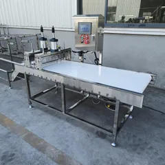 Double Cutter Pneumatic Cutting Machine, Laser Induction Automatic Cutter for Tofu & Dried Tofu, Commercial Bean Product Slicing Equipment