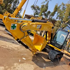 Caterpillar CAT313D-28th Anniversary Promotion Price