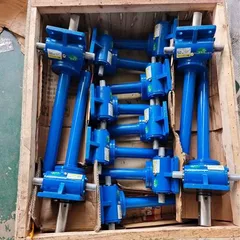 SWL worm gear screw elevator spiral ball screw lifting mechanism gear synchronous elevator